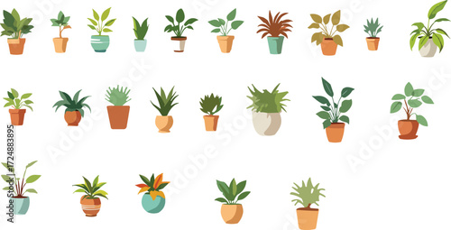Indoor plants collection, potted greenery, decorative house plants, tropical foliage, home garden design, modern nature art, cad drawing flat vector illustration