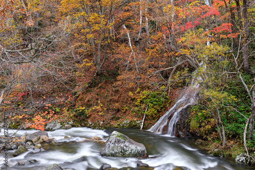 北海道赤井川村、白井川の紅葉【10月】