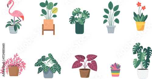 Colorful indoor plants, tropical leaves, decorative flowers, modern greenery, houseplants collection, potted plant design, cad drawing flat vector illustration