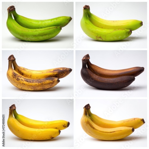 Collage of six images showing bunches of bananas at different ripeness stages, from green to overripe brown, on a white background.
