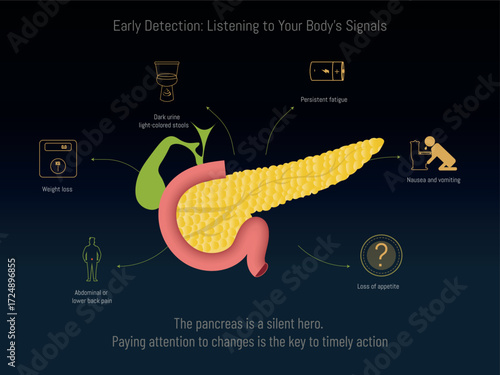 Pancreas illustration showing early detection symptoms and body signals