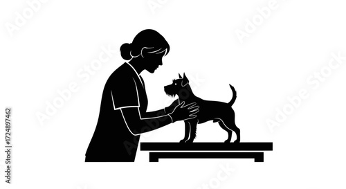 Dedicated Silhouette of a Woman Veterinarian Caring for a Small Dog During an Examination