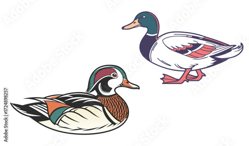 A mallard duck with her ducklings on white water is a great image of wildlife in nature