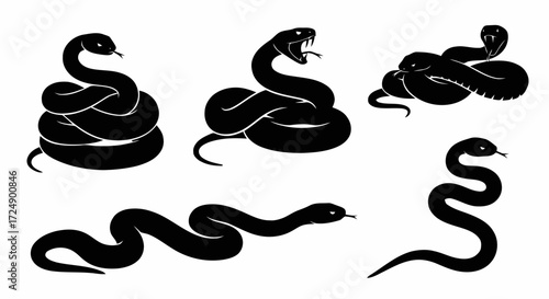 Collection of black snake silhouettes in various poses, including coiled, hissing, and slithering forms, isolated on a white background.