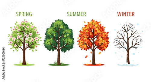 A vibrant illustration conceptualizing the four distinct seasons through the changing appearance of deciduous trees, depicting the annual cycle of nature's transformation and environmental rhythms