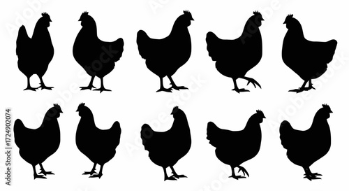 A collection of ten black chicken silhouettes in various poses, isolated on a white background, depicting different angles and movements of poultry.