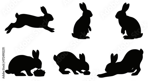 A collection of six black rabbit silhouettes in various poses, including running, sitting, standing, and eating, isolated on a white background.