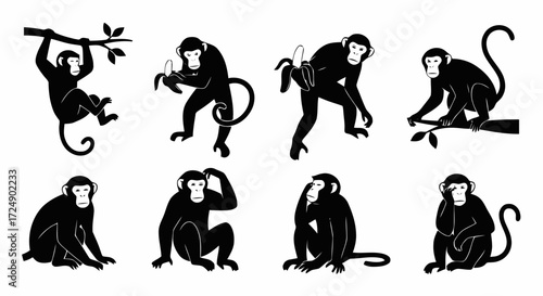 Black and white illustrations of various monkey poses, including hanging, eating, and sitting.