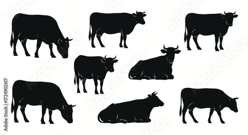 Silhouette illustrations of various cows in different poses.