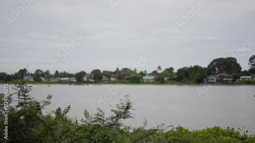 Nature Along The Chao Phraya River In Chai Nat Province, Serene landscapes along the River in Chai Nat glow with morning mist, ideal for a peaceful movie scene or a vibrant visual campaign.