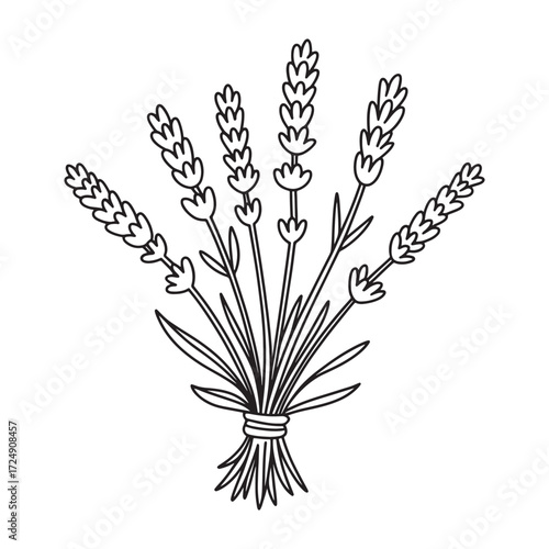 Elegant Lavender Bouquet Outline Featuring Delicate Floral Blossoms Artistic Simplicity for Textile Prints Botanical Wall Art and Graceful Nature Inspired Home Decor Projects Serene and Calming