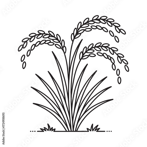 A Graceful Illustration of Rice Paddy Showcasing its Stalks Grains and Root System Conveying a Sense of Agricultural Beauty and Nutritional Significance in Simple Lines