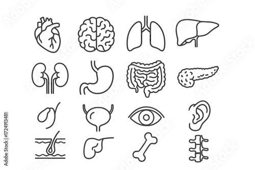 Illustrated human organ icons: heart, brain, lungs, liver, kidneys, stomach, intestines, pancreas, eye, ear, bone