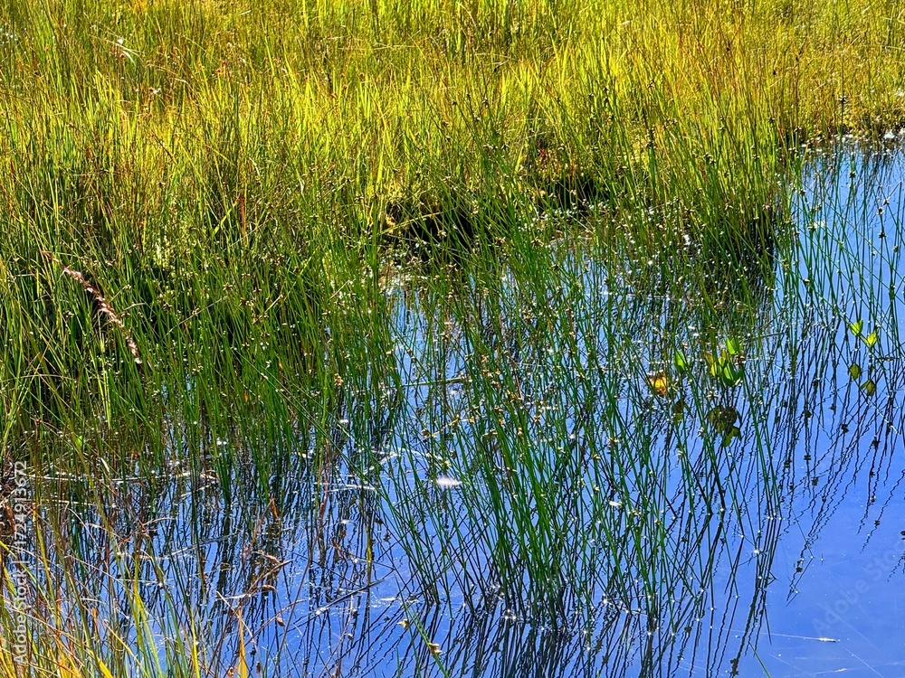 Fototapeta premium Shirasuna Toge with Wooden Boardwalk near Ozenuma Lake and Ozegahara Wetland in Oze National Park, Gunma, Japan