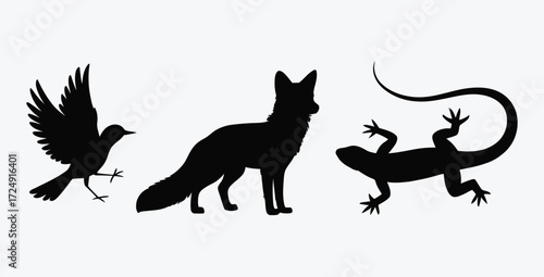 Silhouettes of Bird Fox and Lizard on White Background Vector Illustration