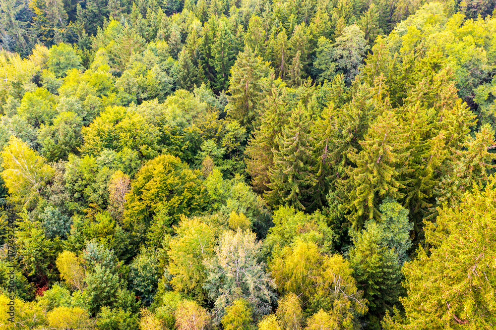 Fototapeta premium Aerial view of forest in Bavaria in summer
