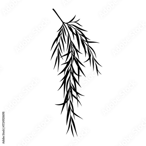 Minimalist Line Art Silhouette Single Willow Branch Delicately Drooping Leaves Tranquil Vector