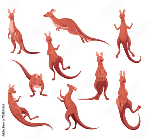 Kangaroo characters set in different poses. Adult kangaroo with pouch standing and jumping. Vector collection of flat cartoon animal australian fauna and wildlife, isolated on white background