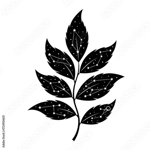 Constellation Patterns Astrological Plant Silhouette Celestial Nature Symbolism Vector Graphic