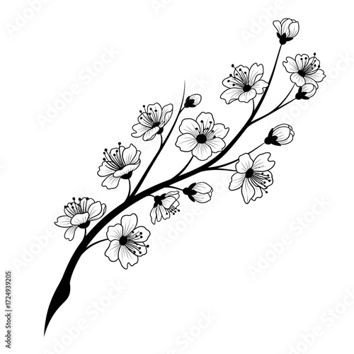 Awakening Nature Symbolism Vernal Bloom on a Spring Branch Black Vector New Life Energy