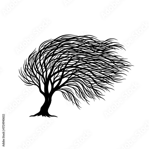 Dynamic Black Vector Silhouette Wind Swept Willow Tree Flowing Branches Nature Force