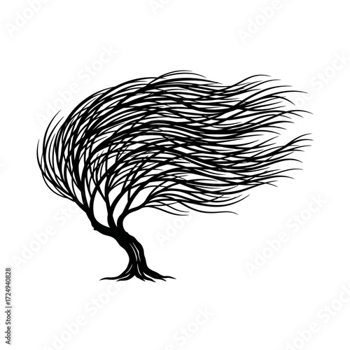 Wind Swept Willow Tree Dynamic Black Vector Silhouette Fluid Branches Natural Energy Art