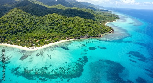 Fototapeta Naklejka Na Ścianę i Meble -  Tropical island coastline with lush forest and turquoise water