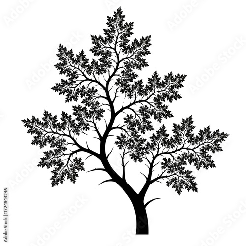 Intricate Arboreal Fractal Pattern Tree Branches Black Vector Design Complex Nature Geometry