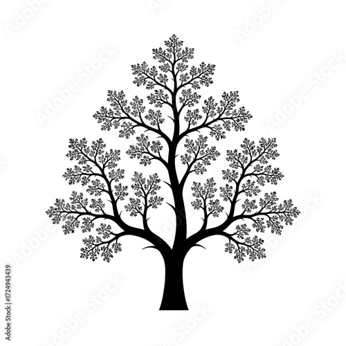 Complex Intricate Arboreal Fractal Pattern Black Vector of Tree Branches and Roots