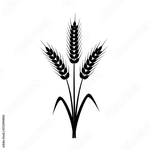 Modern Flat Design Silhouette Trio of Wheat Stalks Growing Harvest and Agriculture Icon