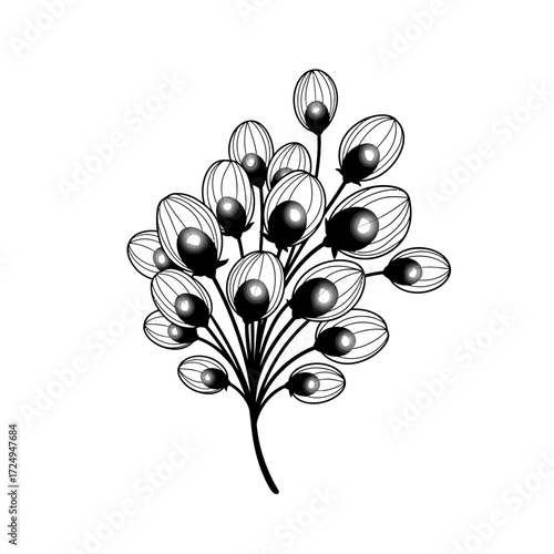 Abstract Whimsical Outline Silhouette Bioluminescent Floating Seed Pods Dreamlike Graphic