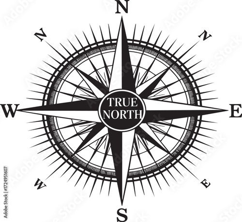 A detailed compass rose illustration with true north text on a textured light background design element