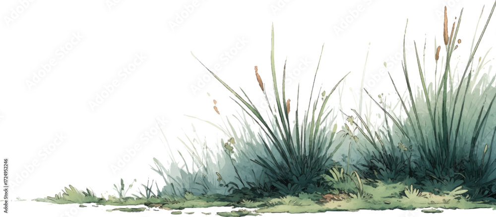 Fototapeta premium green grass on white background