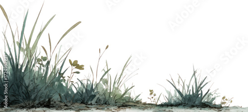
A watercolor realistic, clean side view of an illustration or clipart featuring tall grass on the ground, with light green and muted dark colors