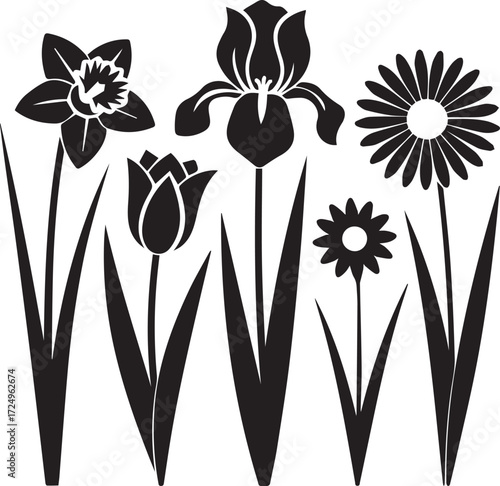 Variety of spring flowers silhouettes narcissus iris tulip daisy simple botanical design