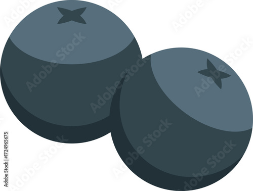Two blueberries creating a simple yet appealing image, perfect for projects related to health, food, or nature