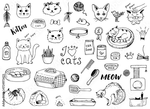 A collection of handdrawn catthemed illustrations