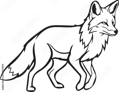 wolf line art vector