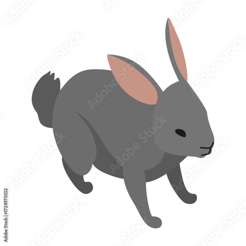 Farm animal isometric. Domestic animal in 3d flat back and front view. Cute game character of rabbit. Vector icon