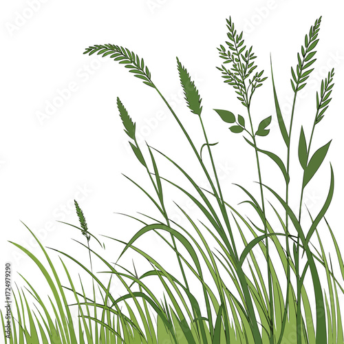 A vibrant illustration of green grass stalks and seed heads swaying gently against a clean white background