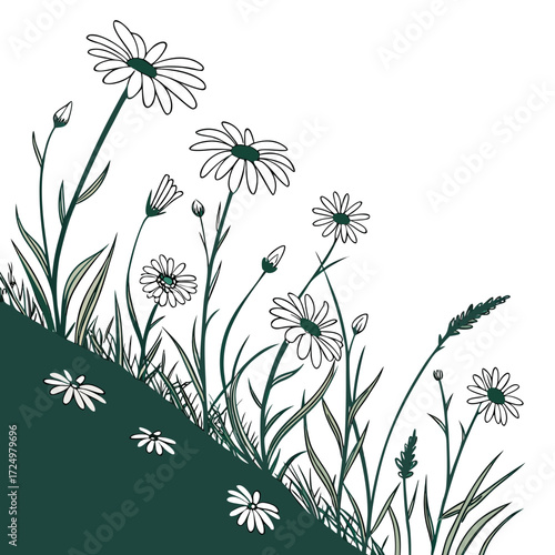 Minimalist line art illustration of white daisies and green grass against a clean white background