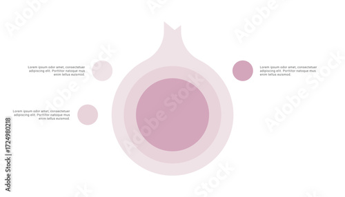 Onion diagram infographic with 3 points or stack