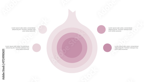 Onion diagram infographic with 4 points or stack