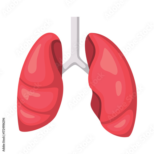 Stylized illustration of human lungs with trachea