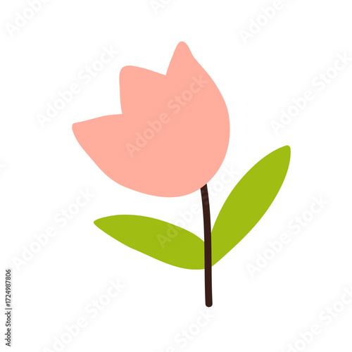 Tulip flower in cute kids style. Floral bloom, garden blossom with stem and leaf. Spring nature decoration, simple naive plant, design element. Flat vector illustration isolated on white background