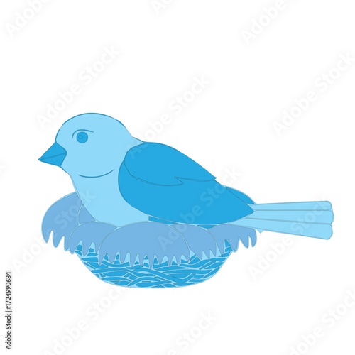 Bluebird in Nest