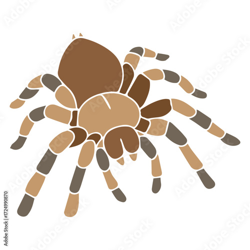 Brown Tarantula Illustration