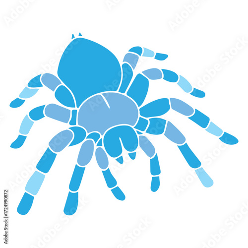Blue Tarantula Art