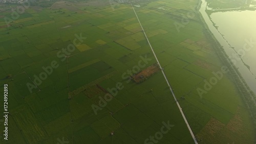 Aerial drone shot of monsoon-season farmland near Delhi, India, featuring green fields, a water body, and suburban surroundings during early morning sunrise.