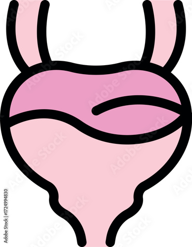 Pink icon of human bladder representing urinary system, featuring ureters and urethra